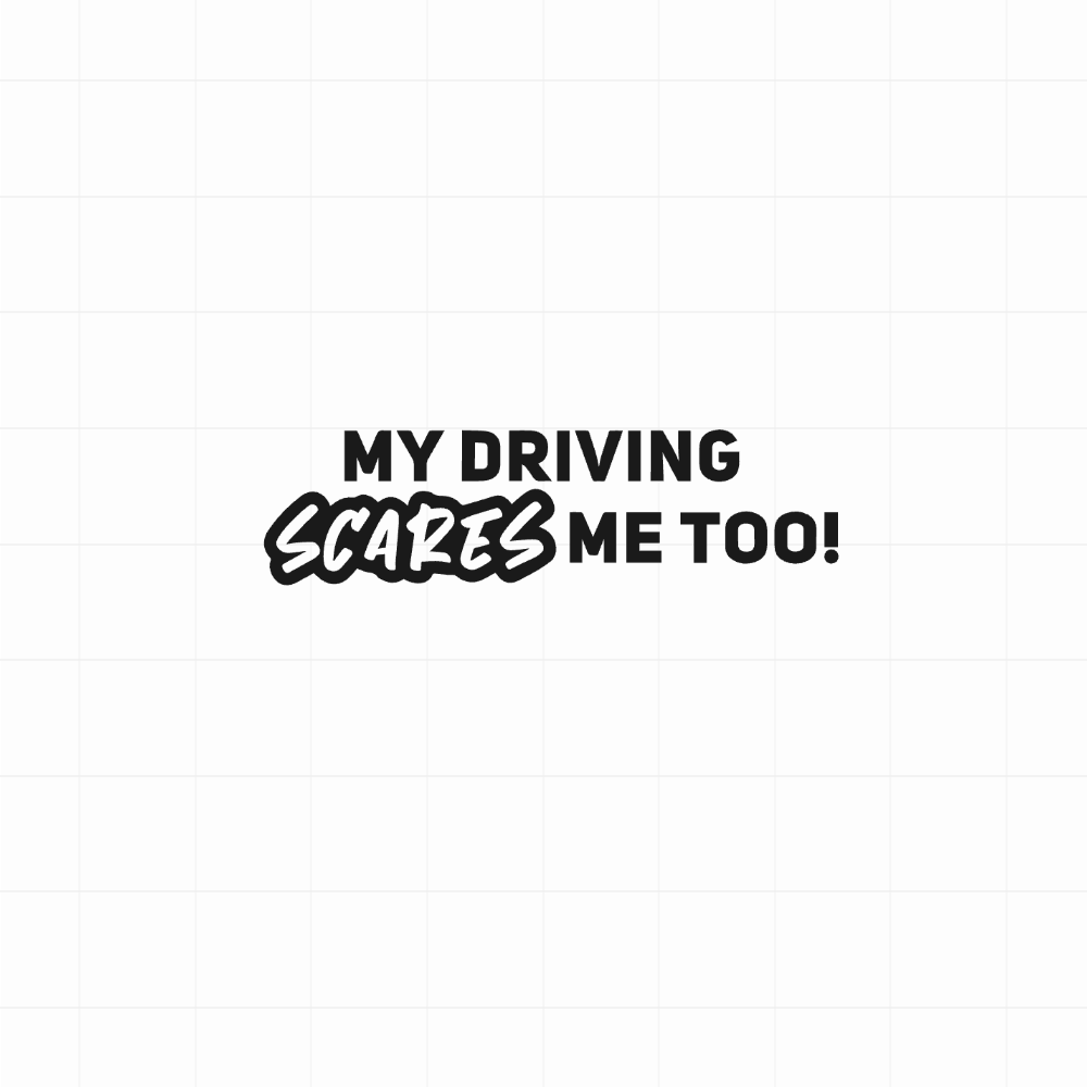 My driving scares me too 3